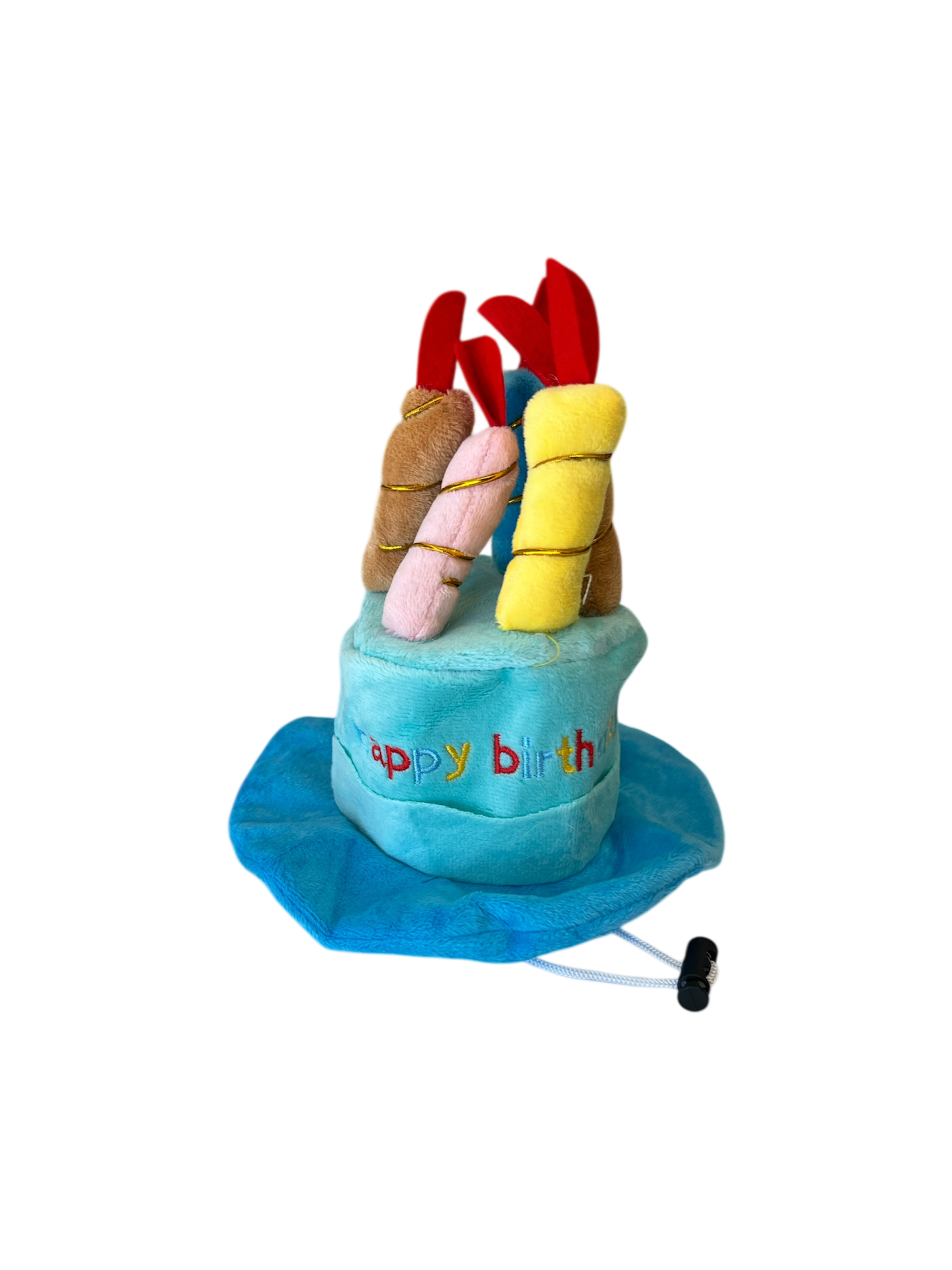 Birthday Dog Hat with Candles on Top