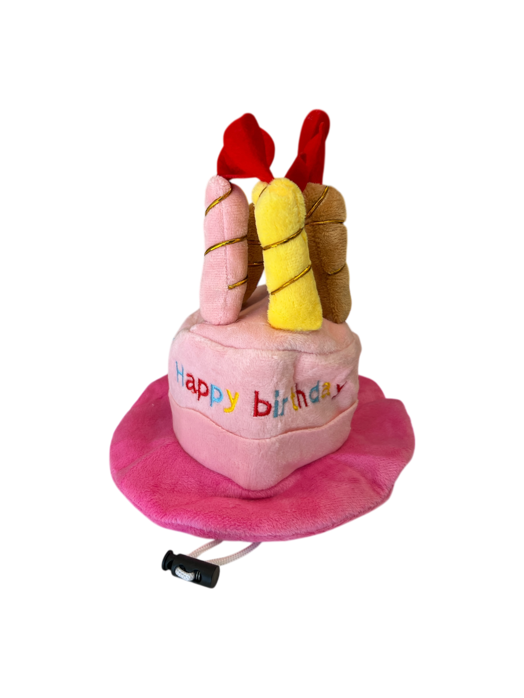 Birthday Dog Hat with Candles on Top