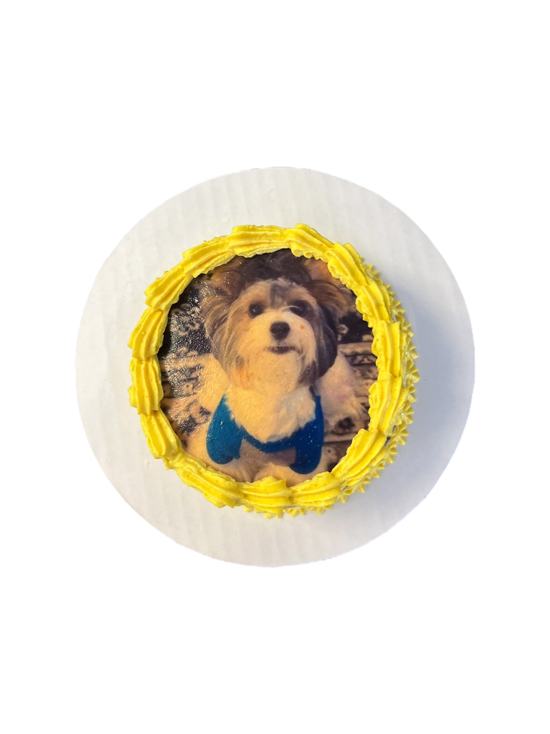 4inch Custom Image Dog Cake Organic
