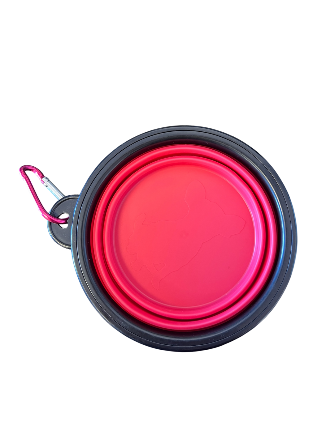 Collapsible water bowl for dogs and cats from The Barkery Las Vegas travel-friendly pet accessory.