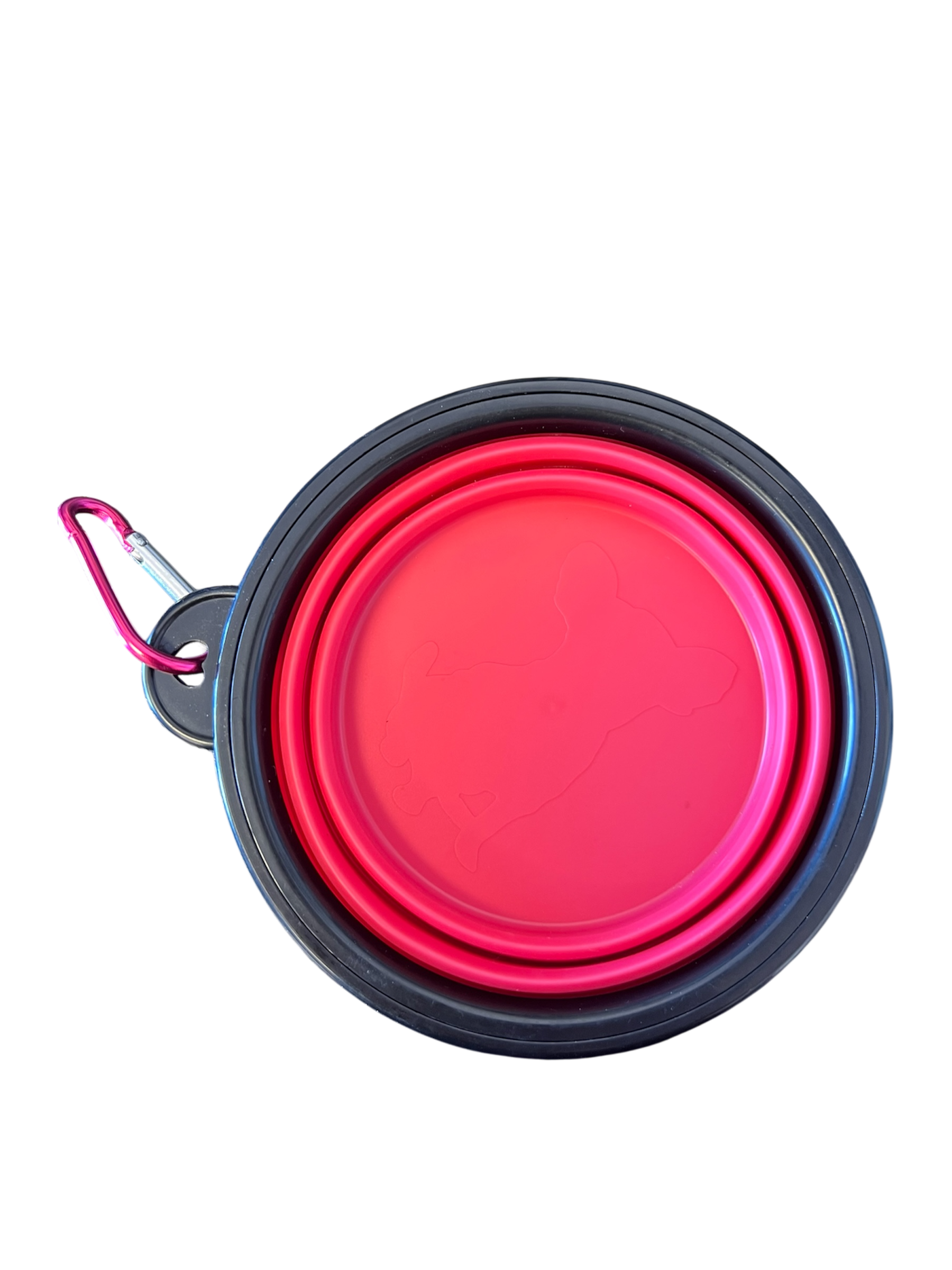 Collapsible water bowl for dogs and cats from The Barkery Las Vegas travel-friendly pet accessory.