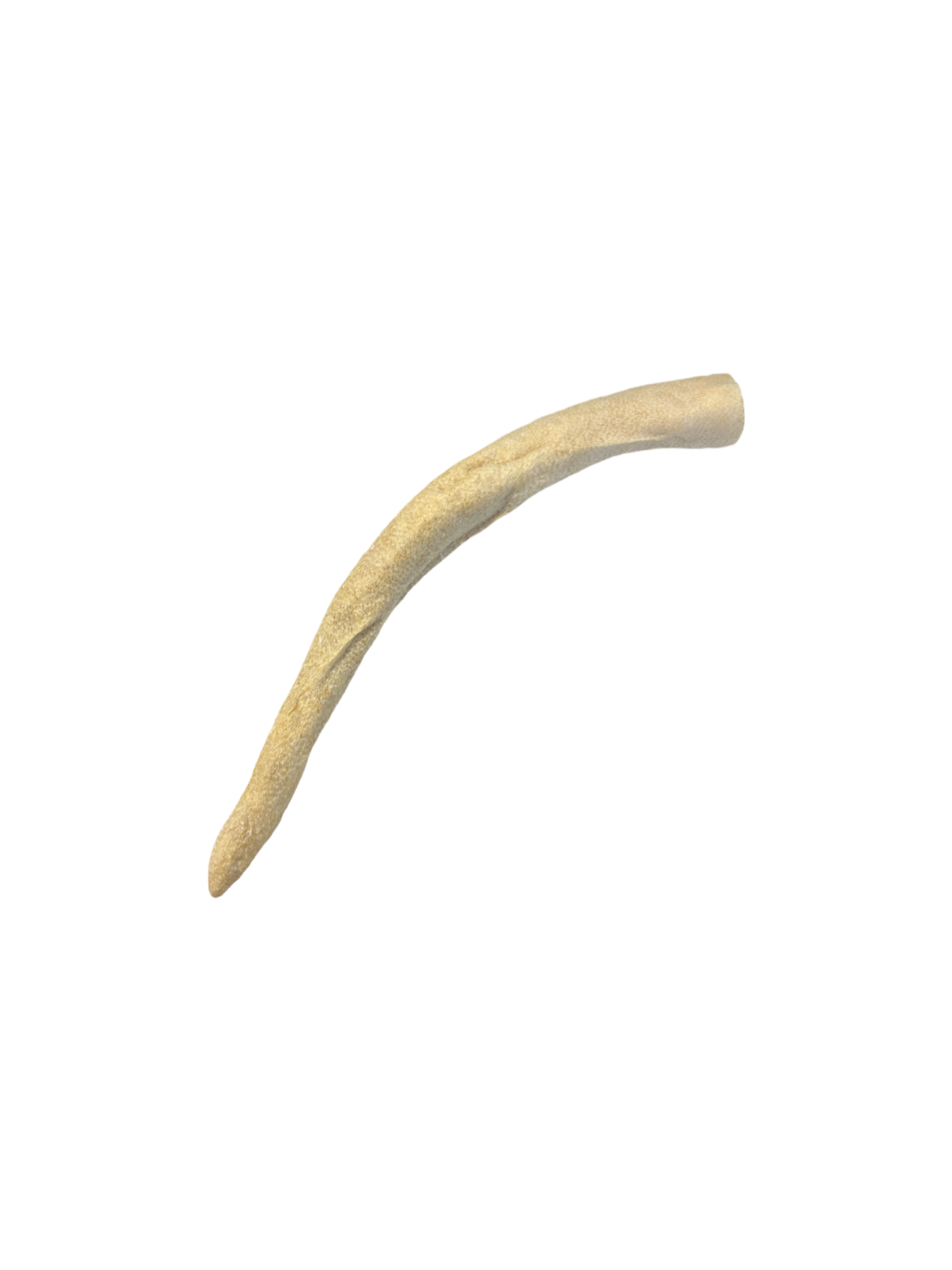 Dehydrated ox tails for dogs from The Barkery Las Vegas high-protein natural chew treat