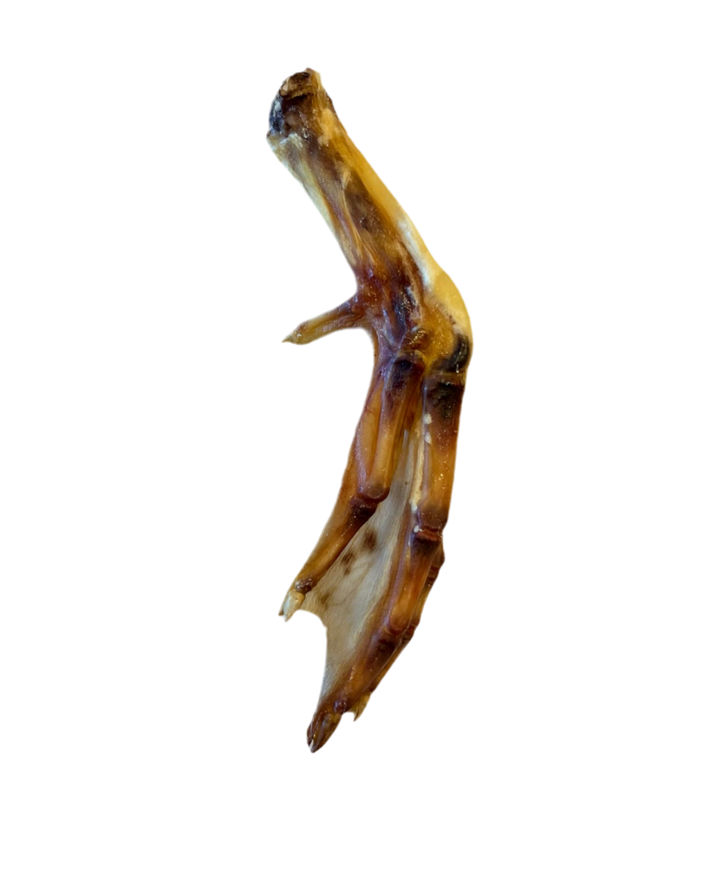 Duck Feet Single or Bag