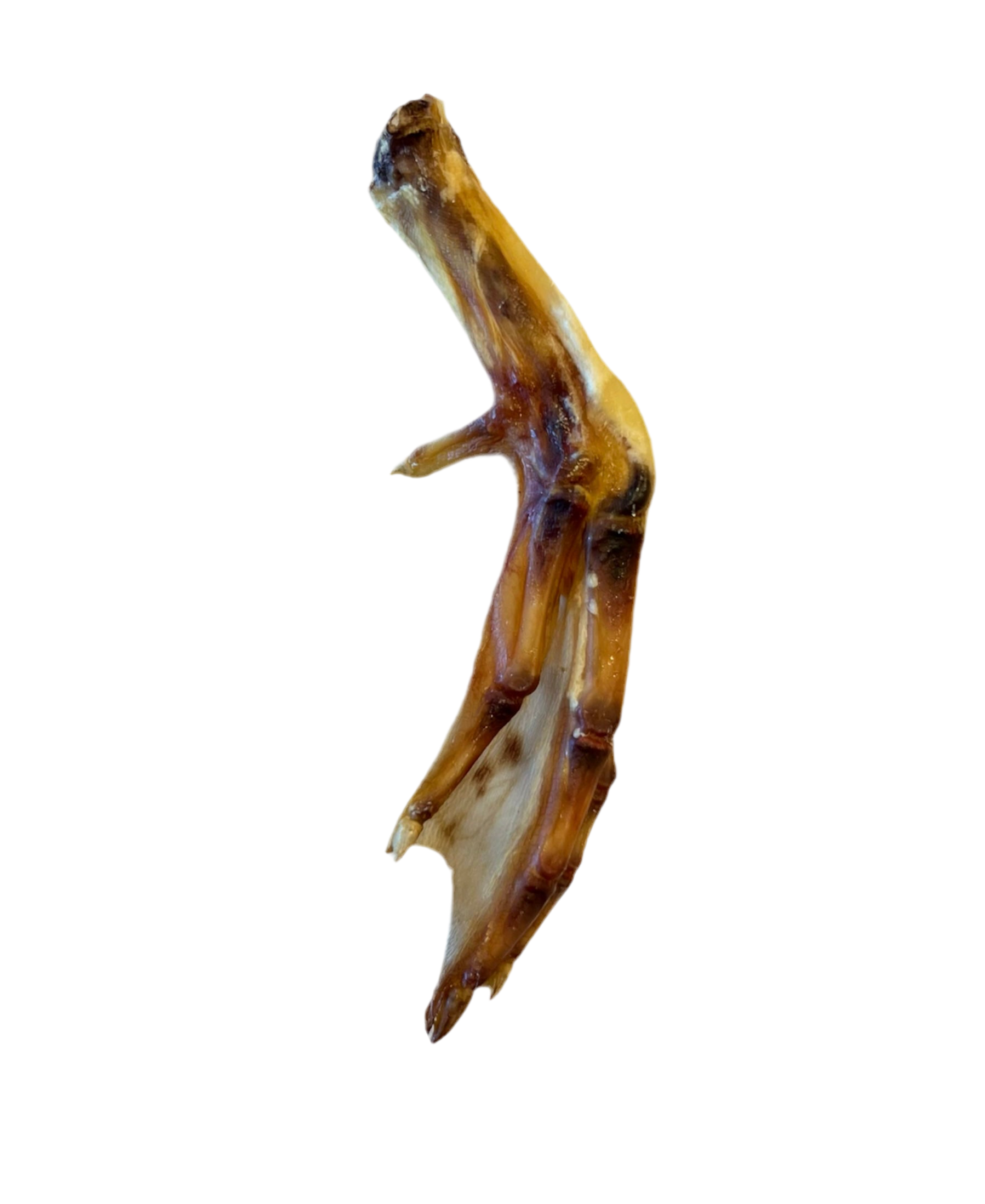 Duck Feet Single or Bag