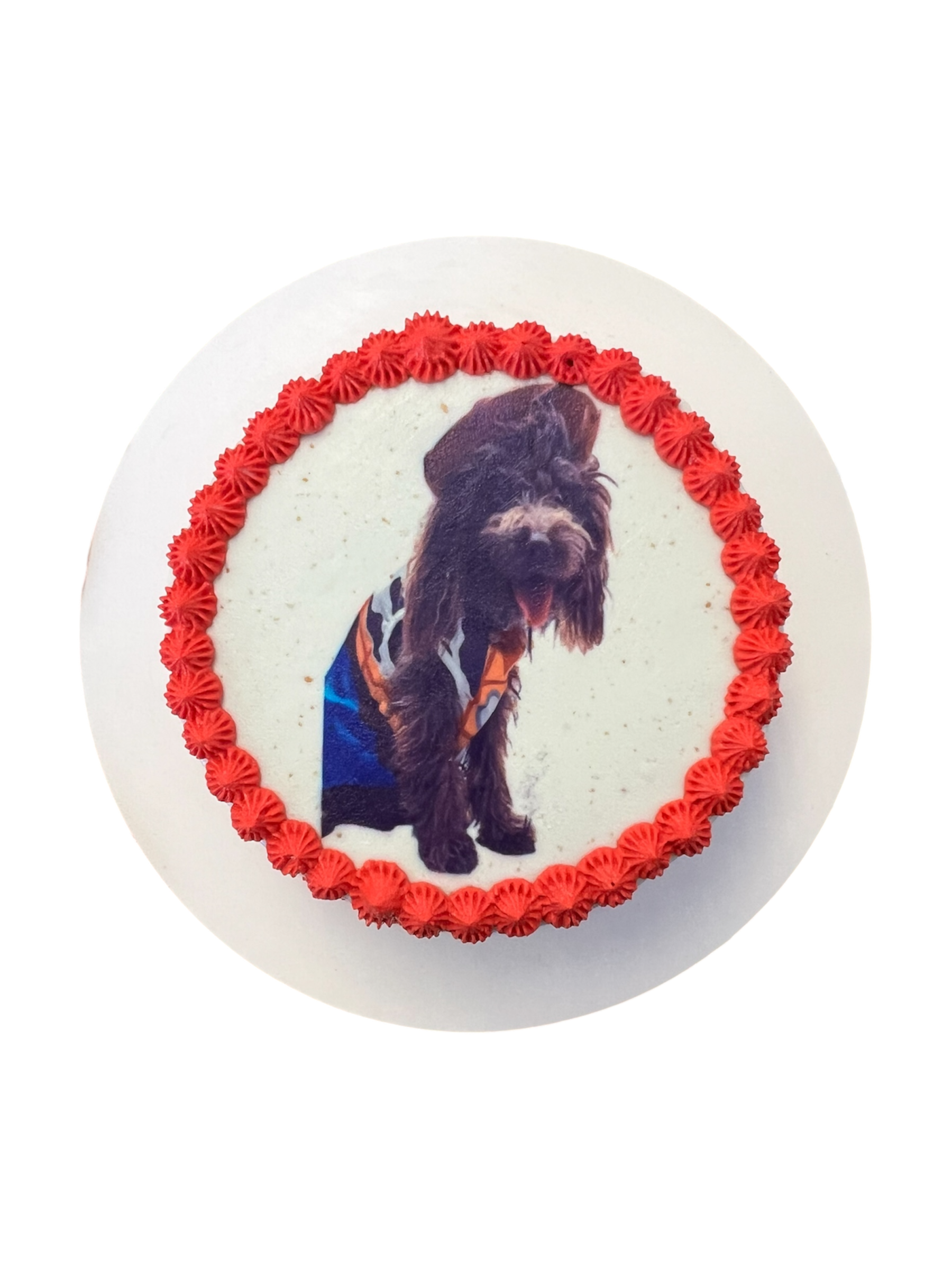4inch Custom Image Dog Cake (Organic)