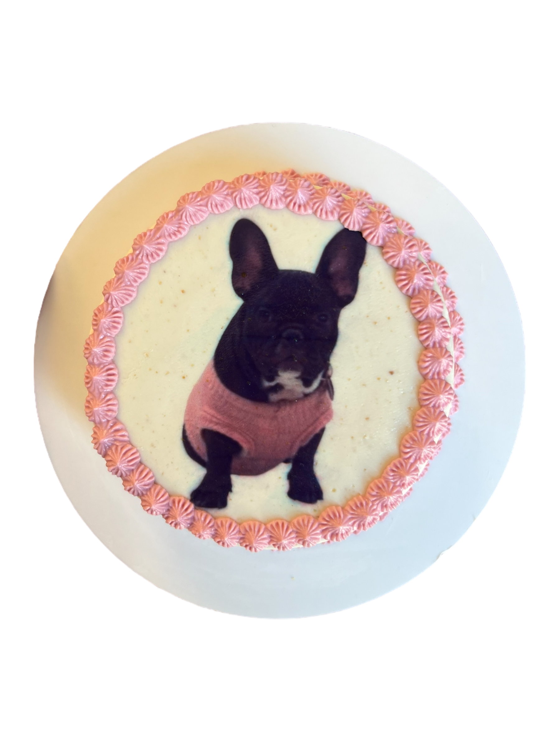 4inch Custom Image Dog Cake (Organic)