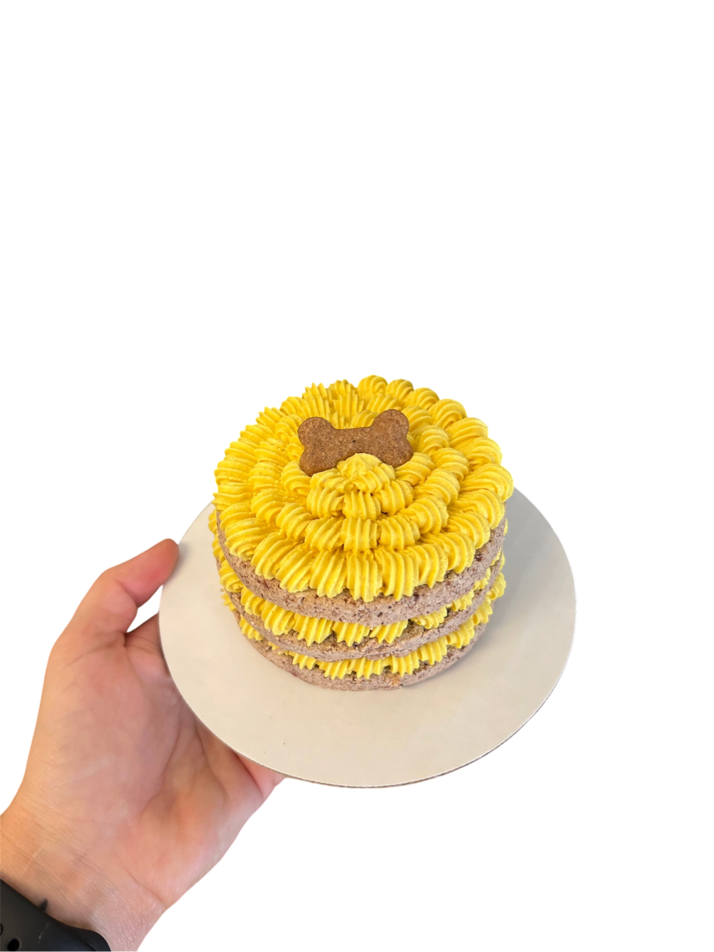 Minimalist Dog Cake