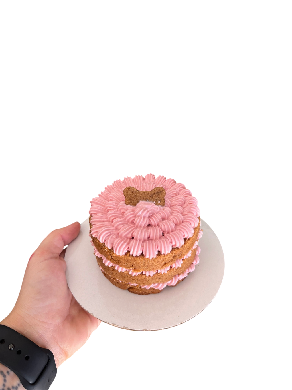 Minimalist Dog Cake