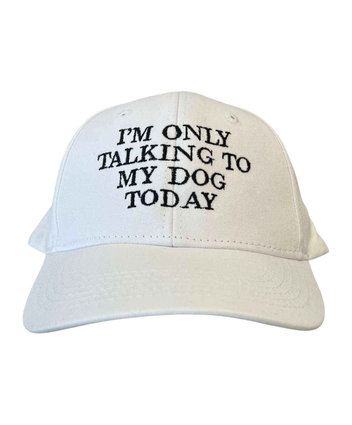 I’m Only Talking to My Dog Today Cap