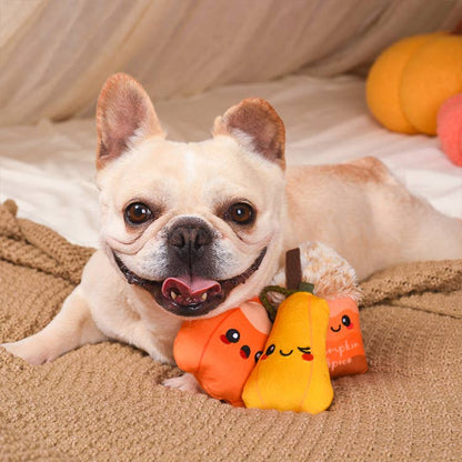 Autumn Tailz | Pumpkin Play - The Barkery LLC