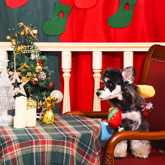 Happy Woofmas | Christmas Light - The Barkery LLC