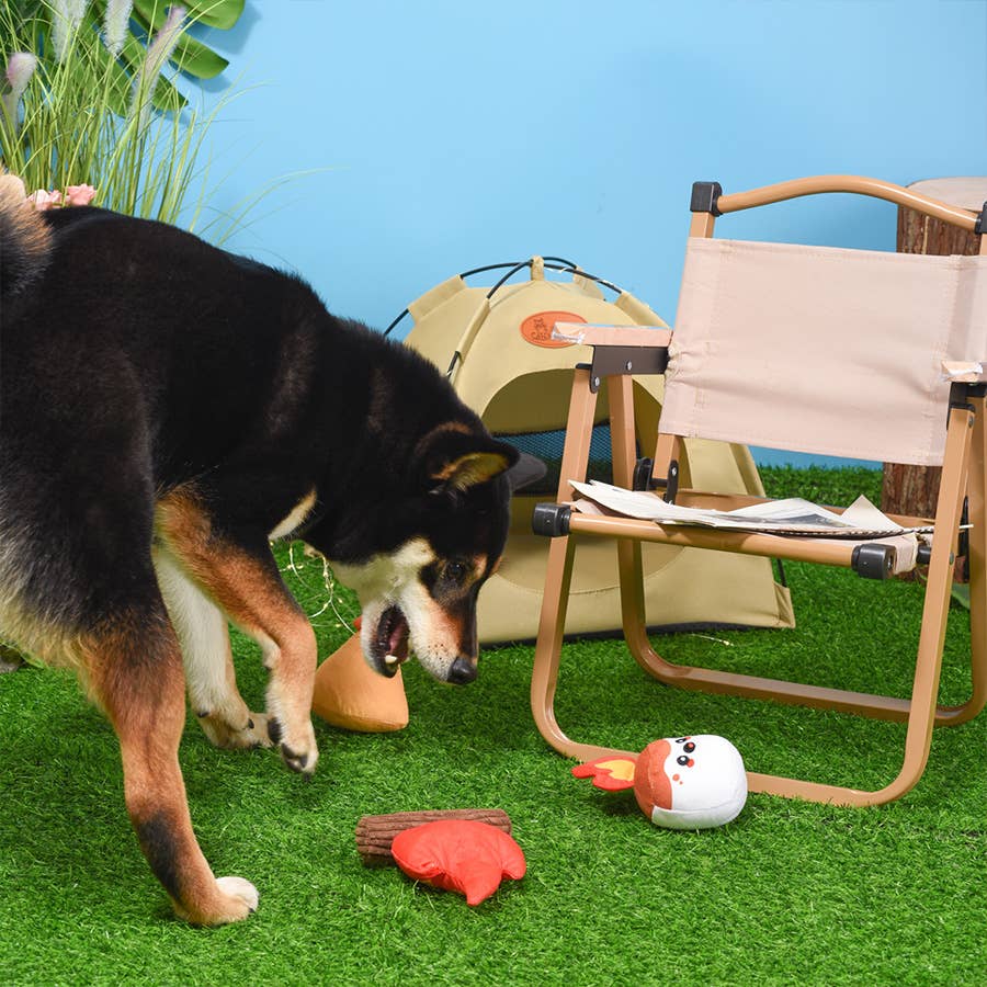 Camping dog toy set with various toys for outdoor fun, featuring a playful dog enjoying the items