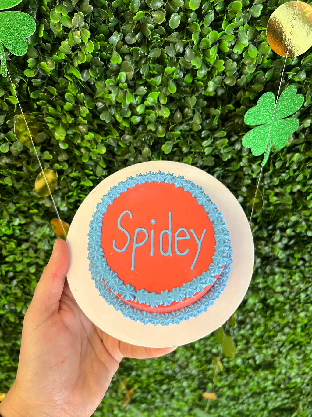 Circle dog birthday cake decorated with blue icing and the name Spidey in the center