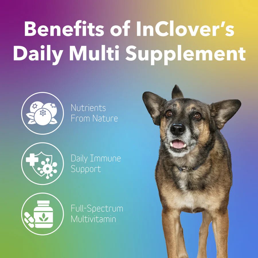 Daily Multi Supplement - The Barkery LLC