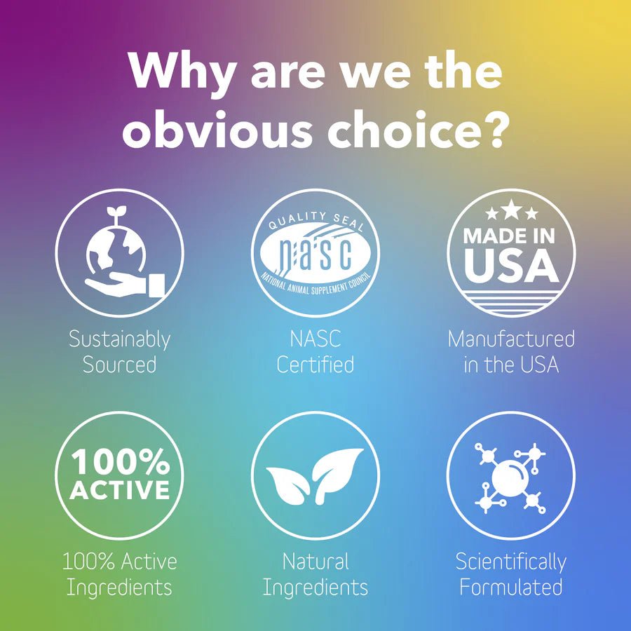 Daily Multi Supplement - The Barkery LLC