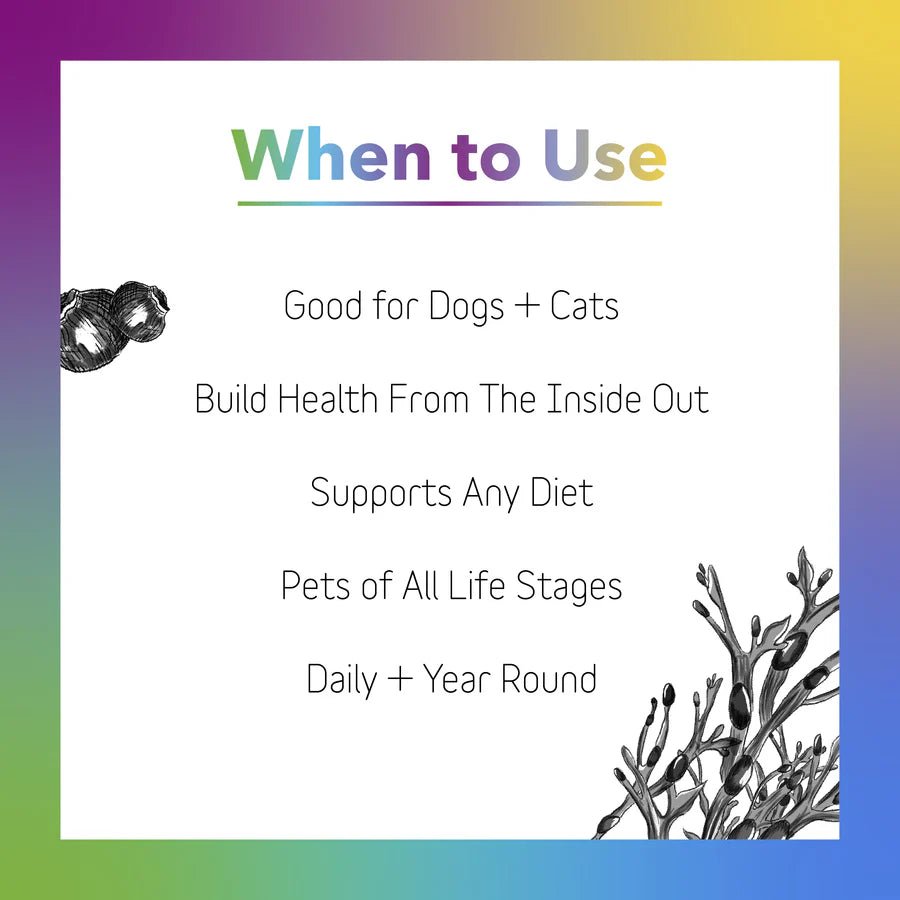 Daily Multi Supplement - The Barkery LLC