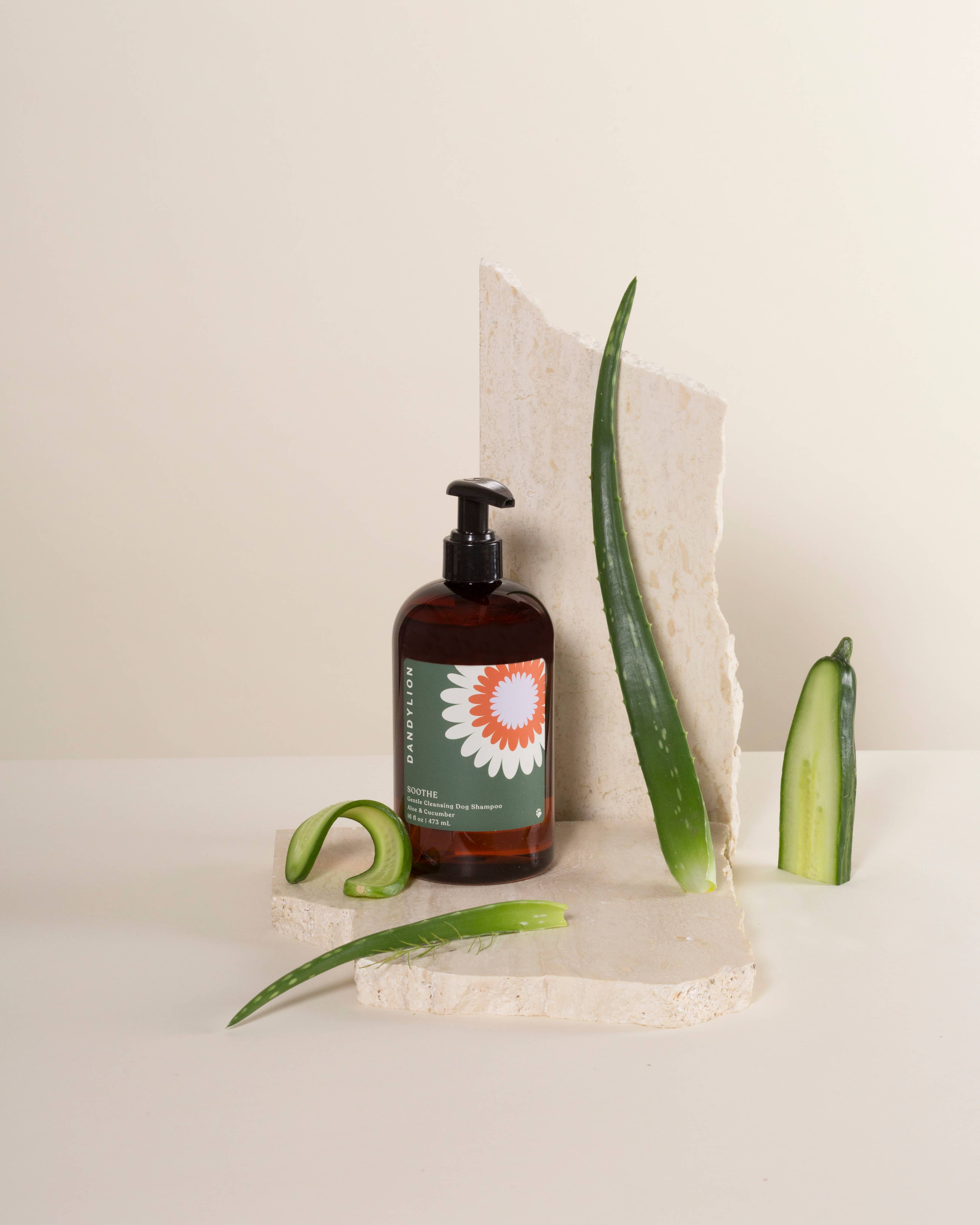 Gentle dog shampoo in a brown bottle with aloe vera leaves for pet grooming and care