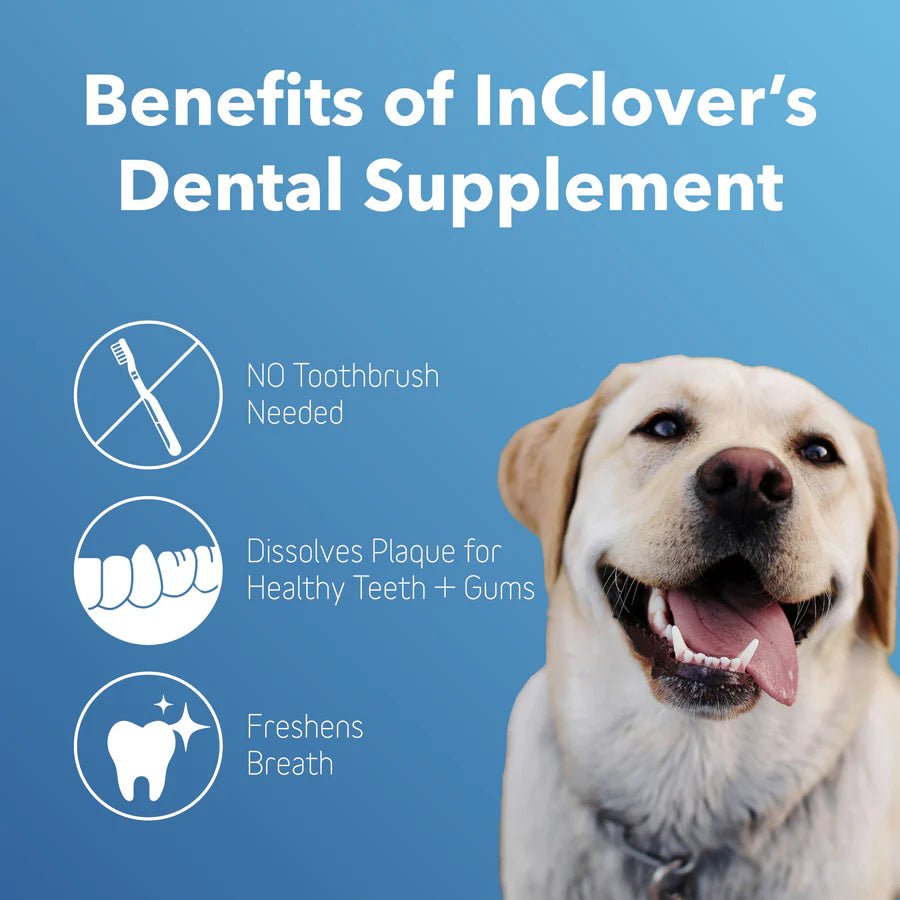 Dental Supplement - The Barkery LLC
