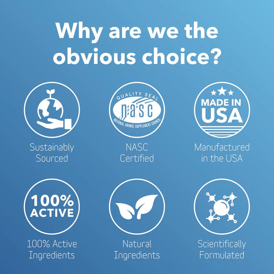 Dental Supplement - The Barkery LLC