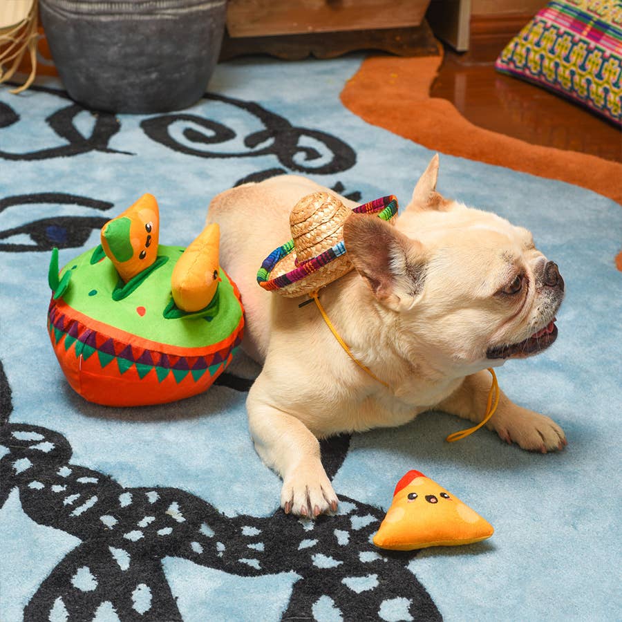 Fiesta Chewsday | Nachos - The Barkery LLC