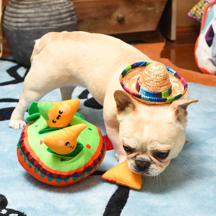 Fiesta Chewsday | Nachos - The Barkery LLC