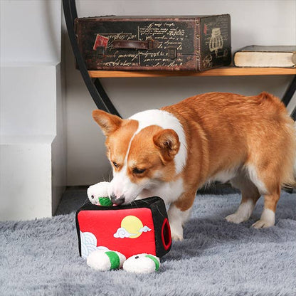 Foodie Japan | Bento Box - The Barkery LLC