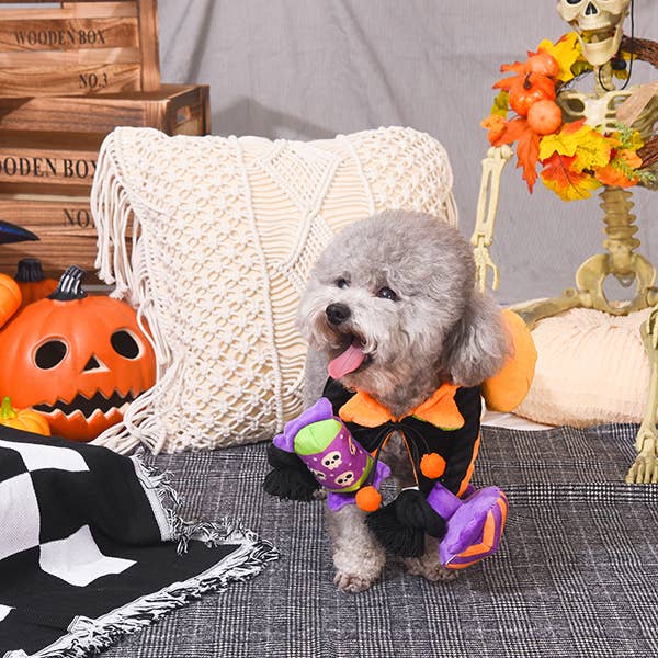 Cute dog dressed in Halloween costume with colorful Halloween dog toy in a festive setting