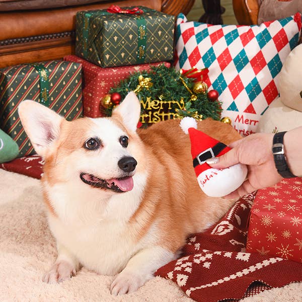 Corgi playing with holiday dog squeaker toys surrounded by festive decorations and gifts