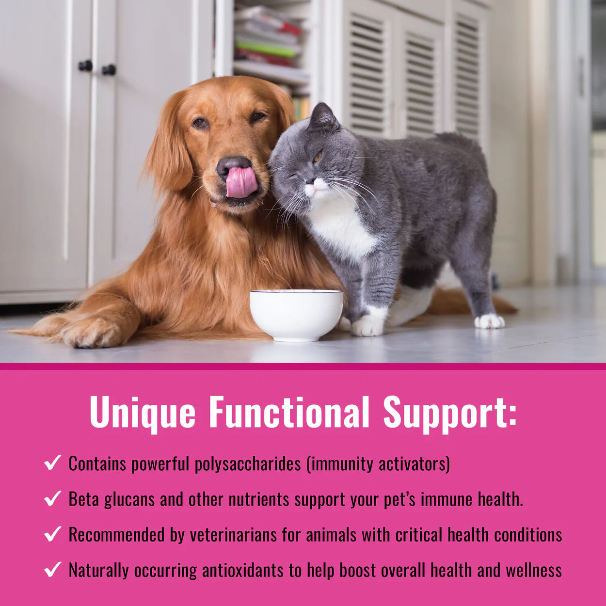 Turkey Tail mushroom for dogs supplement by Mushroom Matrix shown with dog and cat promoting immune health support