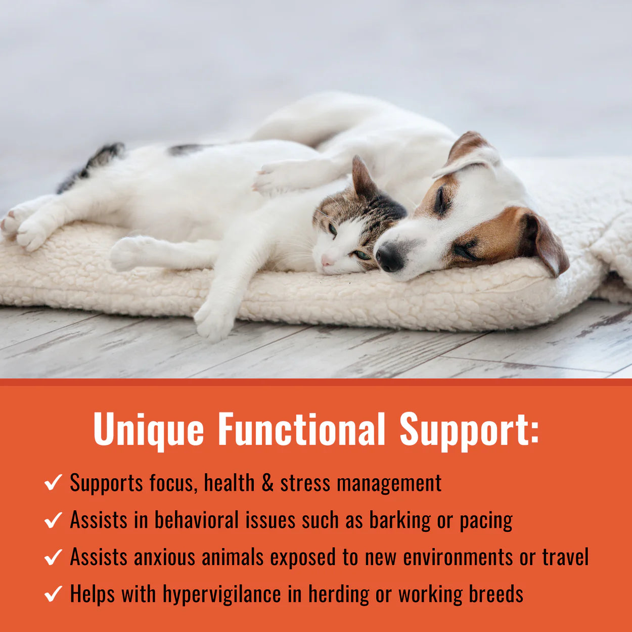 Organic dog calming supplement by Mushroom Matrix supports stress management and behavioral issues in pets