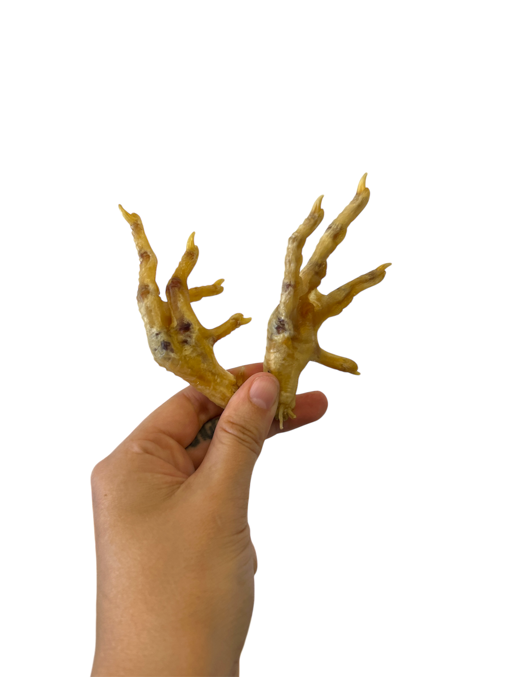 All Natural Chicken Feet for Dogs, healthy treat for canine chewing and nutrition