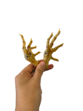 All Natural Chicken Feet for Dogs, healthy treat for canine chewing and nutrition