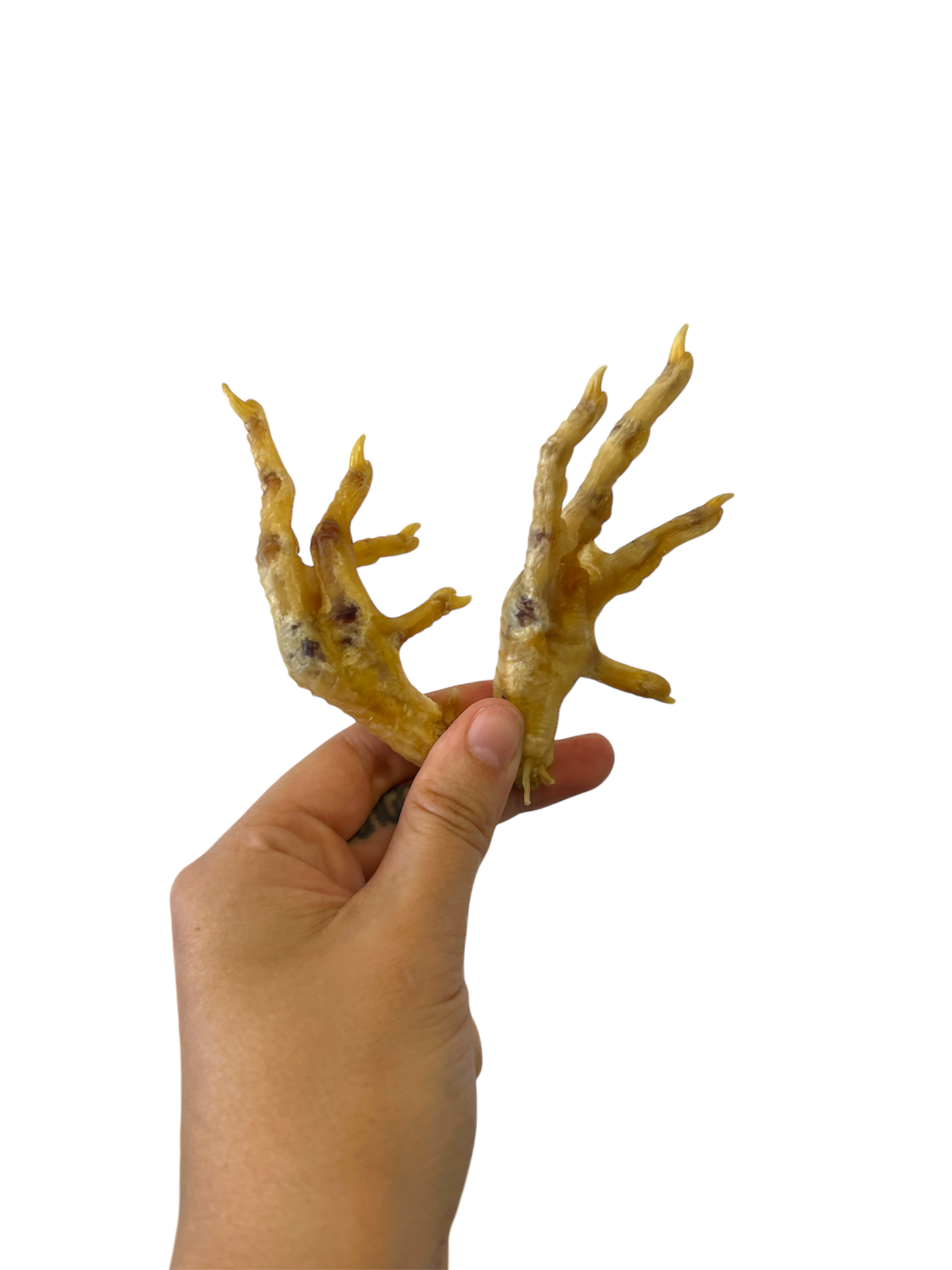 All Natural Chicken Feet for Dogs, healthy treat for canine chewing and nutrition