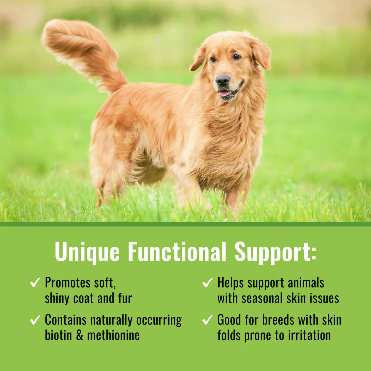 Organic dog skin supplement by Mushroom Matrix promotes soft shiny coat and supports dogs with skin issues