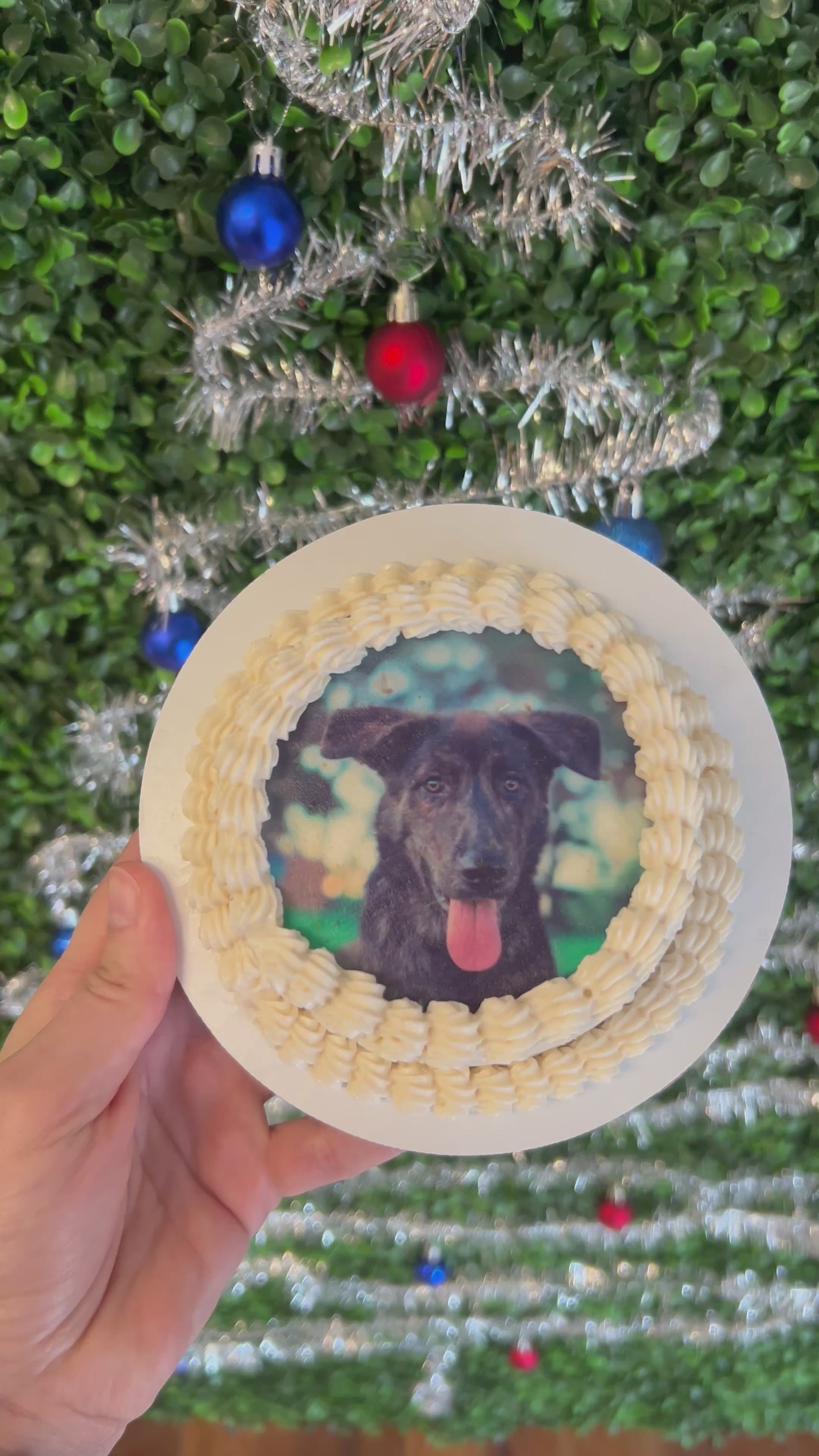 4inch Custom Image Dog Cake Organic