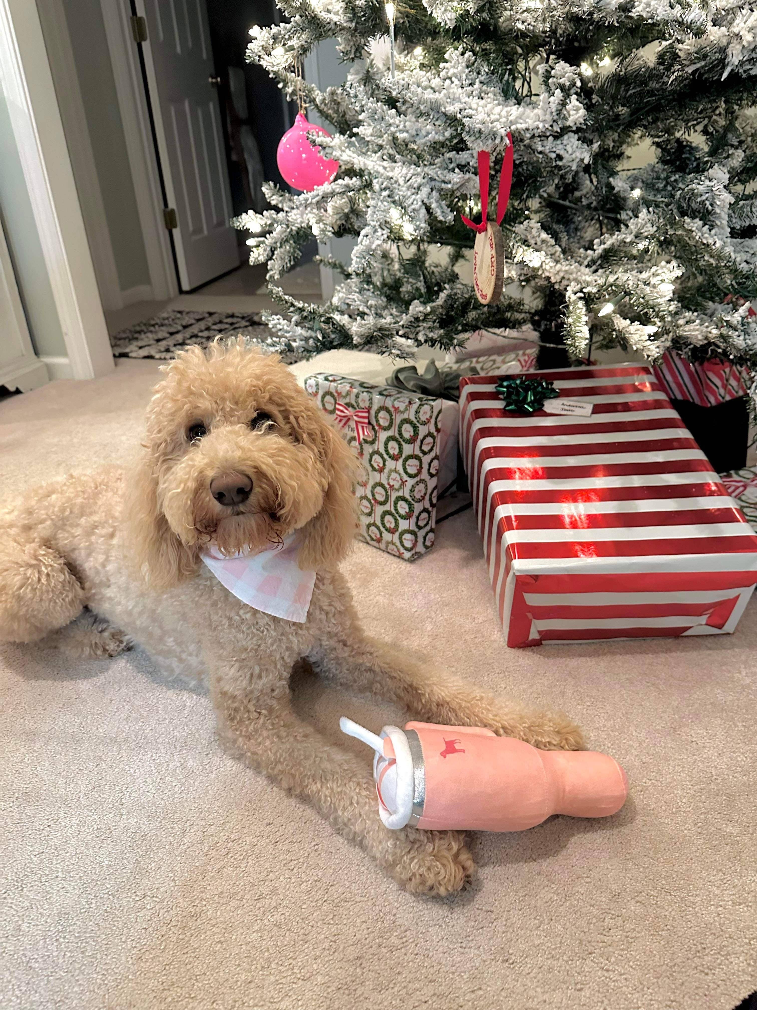 Happy dog with PUPROAR Tumbler Plush Squeaker Dog Toy beside Christmas tree and gifts